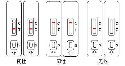 β-内酰胺类检测卡(胶体金法)