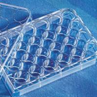 Transwell嵌套，含12孔板 (带聚脂膜12mm3.0um)Corning 3462