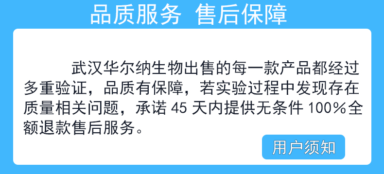 ATCC29593膀胱炎棒杆菌,Corynebacteriu