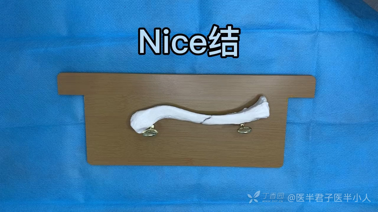 万能NICE结学习分享
