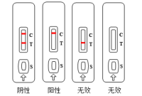 Melamine检测卡(胶体金法)