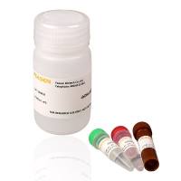 dsDNA双链DNA荧光定量检测试剂盒(dsDNA HS Assay Kit for Qubit)