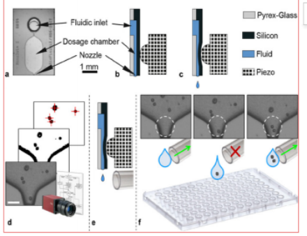 提升高产细胞株筛选效率，助力基因治疗、抗体药物等工艺开发——单细胞打印机（附案例分享）