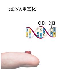 ctDNA EM-seq 甲基化测序