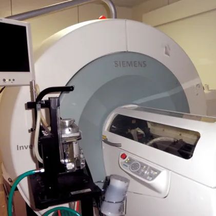 micro PET/CT扫描服务