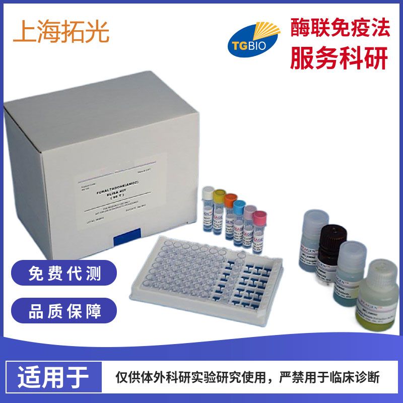 人白介素3（IL-3）檢測試劑盒