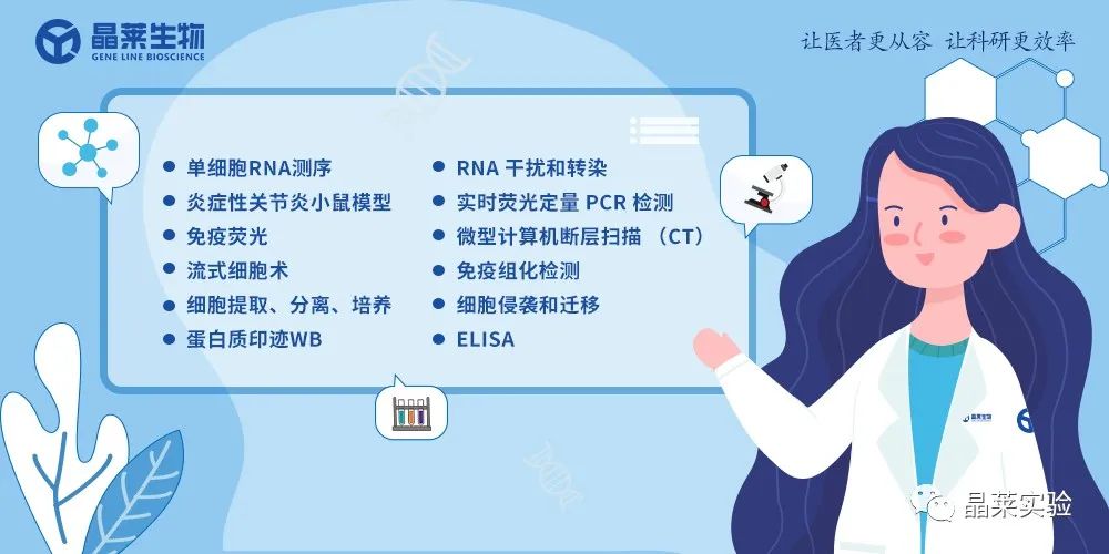 技术资料图片11