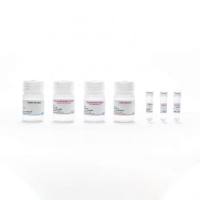 Strep-Tactin®XT BLI Coupling Kit