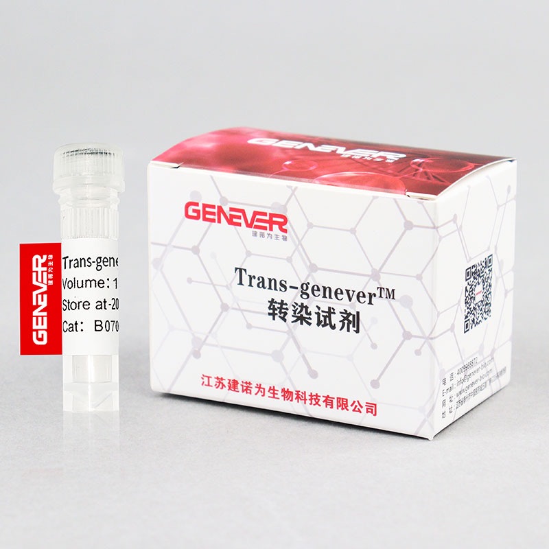 Trans-genever™转染试剂（DNA质粒转染适用）