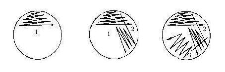  常用的微生物接种方法集合