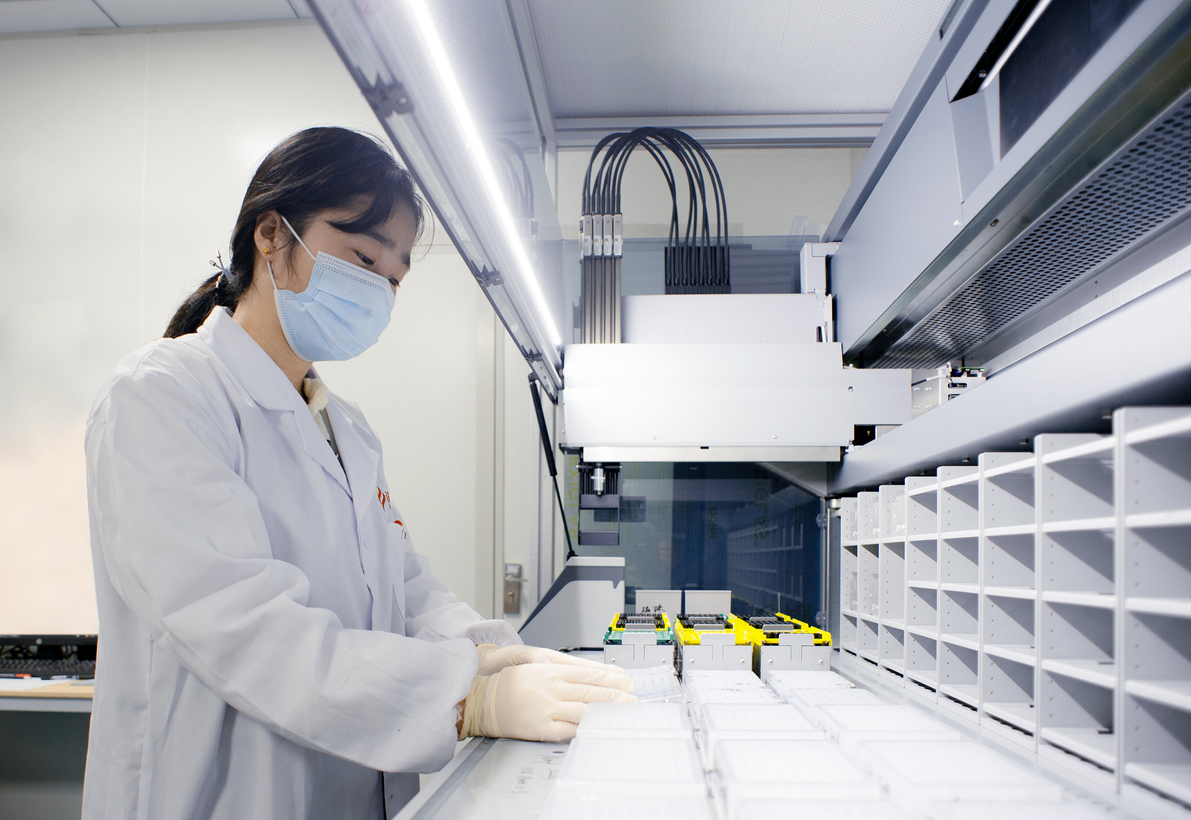 V6 Anti-HEL Human IgG1 CH1-Hum