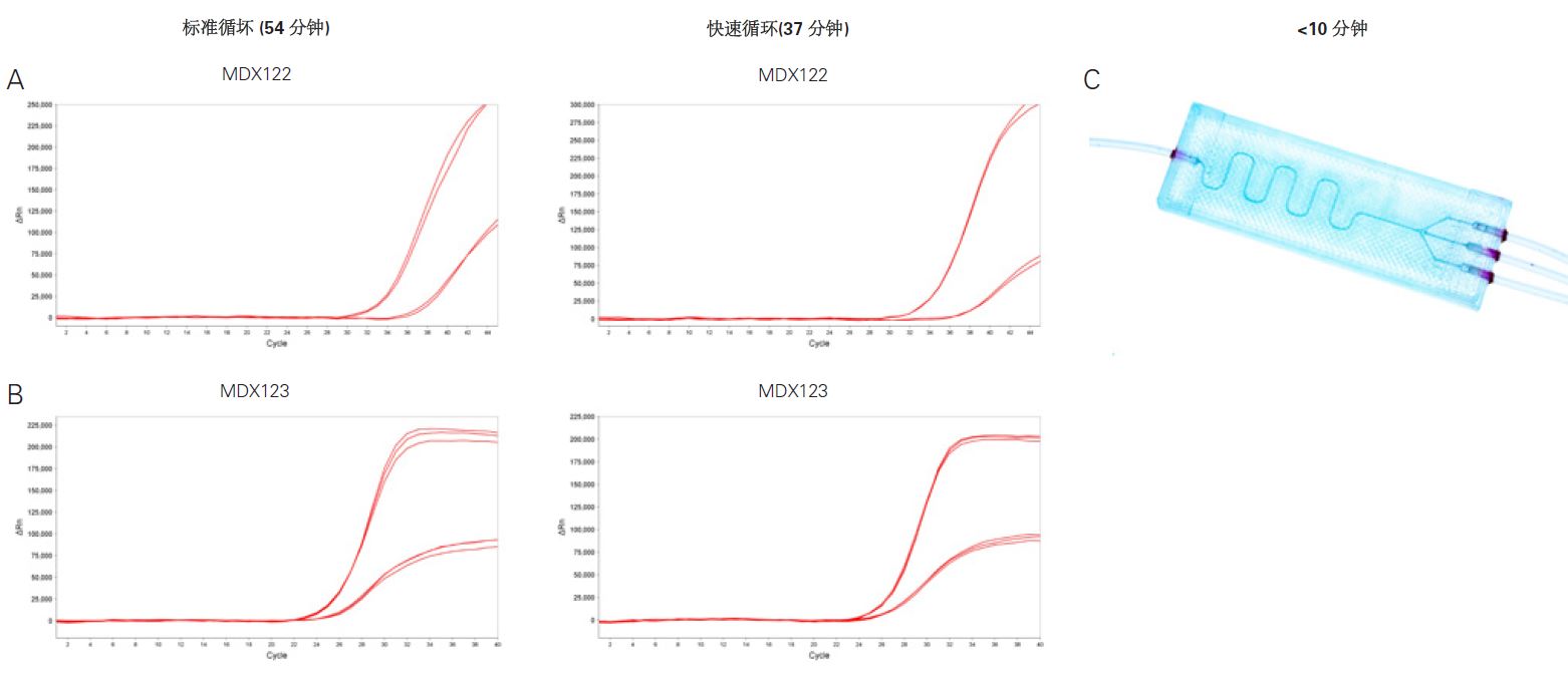 产品细节图片12