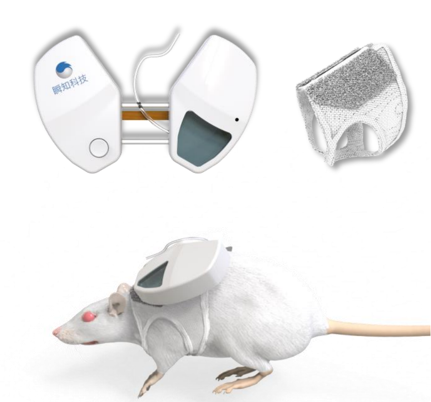 拓普生物助力瞬知科技小动物实验微量输注泵产品市场推广