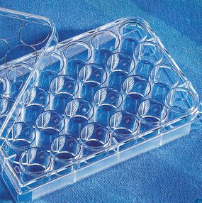 24孔细胞培养池和配套用板 8.0um孔径无菌，1/包，48/箱