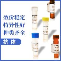 辣根过氧化物酶标记驴抗山羊IgG(H+L)