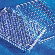 康宁96孔细胞培养板，经TC处理，独立包装，带盖，无菌