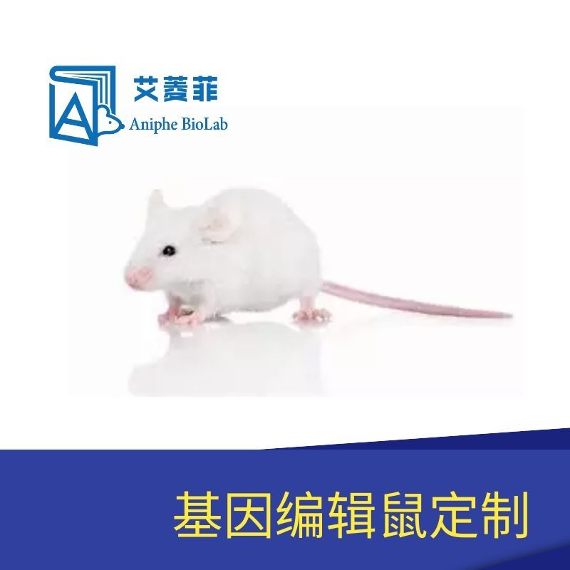 基因编辑鼠定制服务