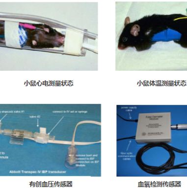 核磁环境小鼠呼吸门控系统，核磁环境小鼠心电门控系统
