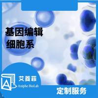 基因编辑细胞系定制服务