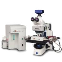 斑马鱼幼体高通量图像采集系统