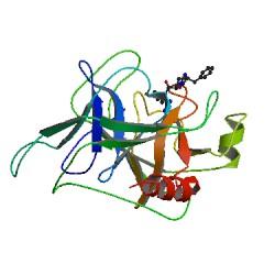 阿狄科®α1-抗胰蛋白酶检测试剂盒（酶联免疫法）