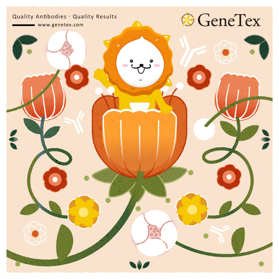 小星狮宠粉季 多项好礼送给您