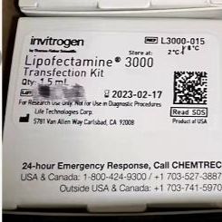 Lipofectamine™ 3000 转染试剂，lipo3000 L3000015