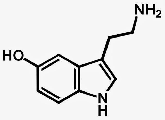 阿狄科®血清素检测试剂盒（酶联免疫法）