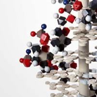 CAS：1262681-30-0、NMR 1 H, HPLC-MS (95%)、炔烃-PEG4-马来酰亚胺