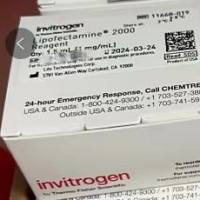 Lipo2000  ，11668019，Lipofectamine™ 2000 Transfection Reagent