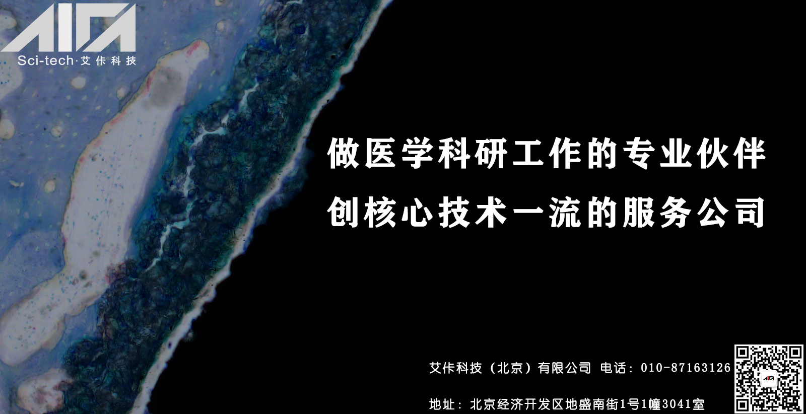 关于硬组织制片，知道这些的人，效率提升80%以上！——前期标本处理篇