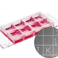 德国ibidi μ-slide 8孔带计数格腔室载玻片 80826-G500 80821-G500