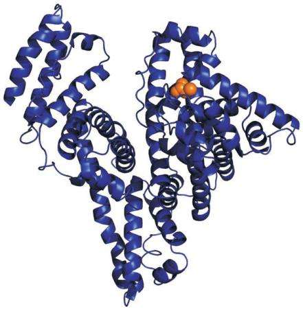 阿狄科®前白蛋白检测试剂盒（酶联免疫法）