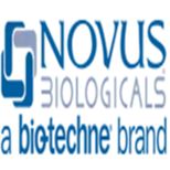 Mouse Monoclonal Bax Antibody (2D2) - Azide and BSA Free