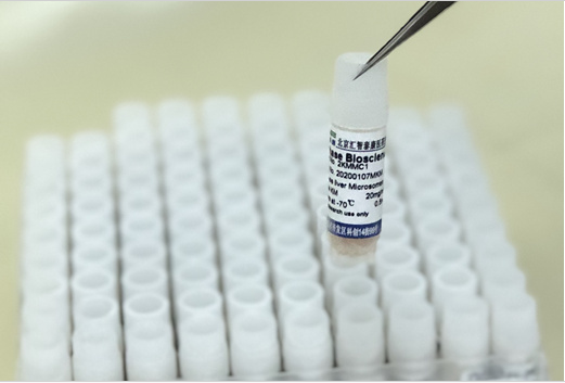 Human CD3e Antibody,Biotin丨重组人