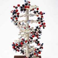 773859-49-7、NMR 1H、HPLC-MS (95%)、BDP FL马来酰亚胺