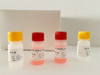 TRAF1,人检测试剂盒