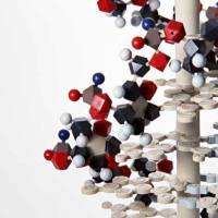 2183473-45-0、NMR 1 H, HPLC-MS (95%)、BDP FL酰肼