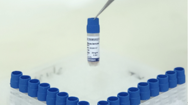 Human CD3e Antibody,Biotin丨重组人