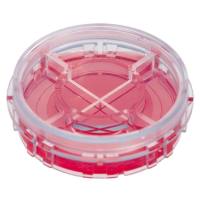 德国ibidi μ-35mm 四区块 高壁培养皿80416