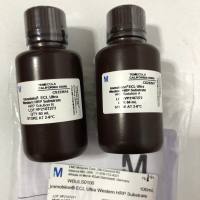 Millipore货号WBULS0100超灵敏ECL发光底物13611631389上海睿安