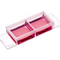 德国ibidi µ-Slide 2孔腔室载玻片-80286 80281 80287 80296