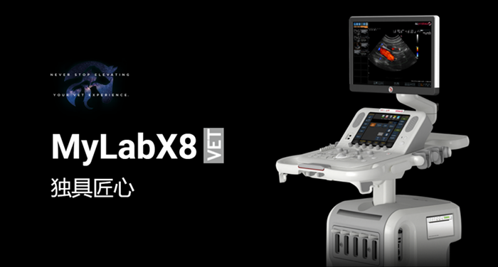 超高分辨率动物超声成像系统