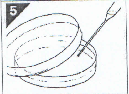 安瓿管开封方法