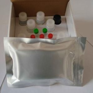 人血管舒缓激肽(BK)检测试剂盒
