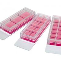 德国ibidi 3孔／8孔／12孔可移除插件培养载玻片－80381 80841 81201