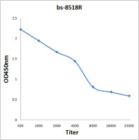 SPP24 antibody