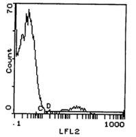 TCR gamma + delta antibody [GL3] (PE)