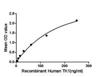 Human Thymidine Kinase 1 protein, His and GST tag