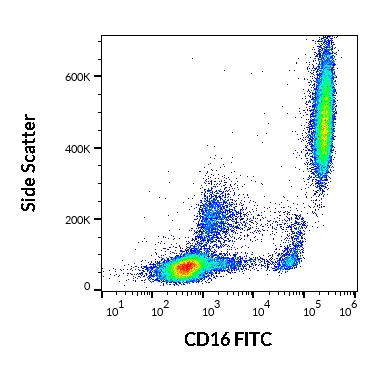 CD16 antibody [LNK16] (FITC)
